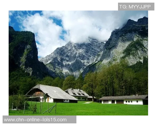德国与奥地利精彩赛事直播全程回顾与分析尽在这里 德国与奥地利精彩赛事直播全程回顾与分析尽在这里